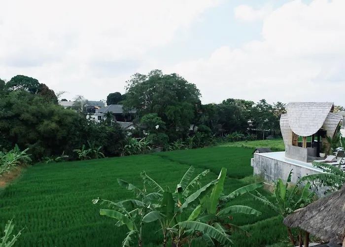 Guest house Canggu Guest House *
